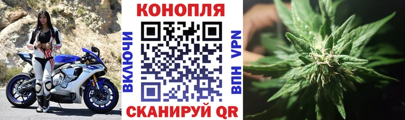 даркнет сайт  Первомайск  mega как войти  Каннабис сатива 
